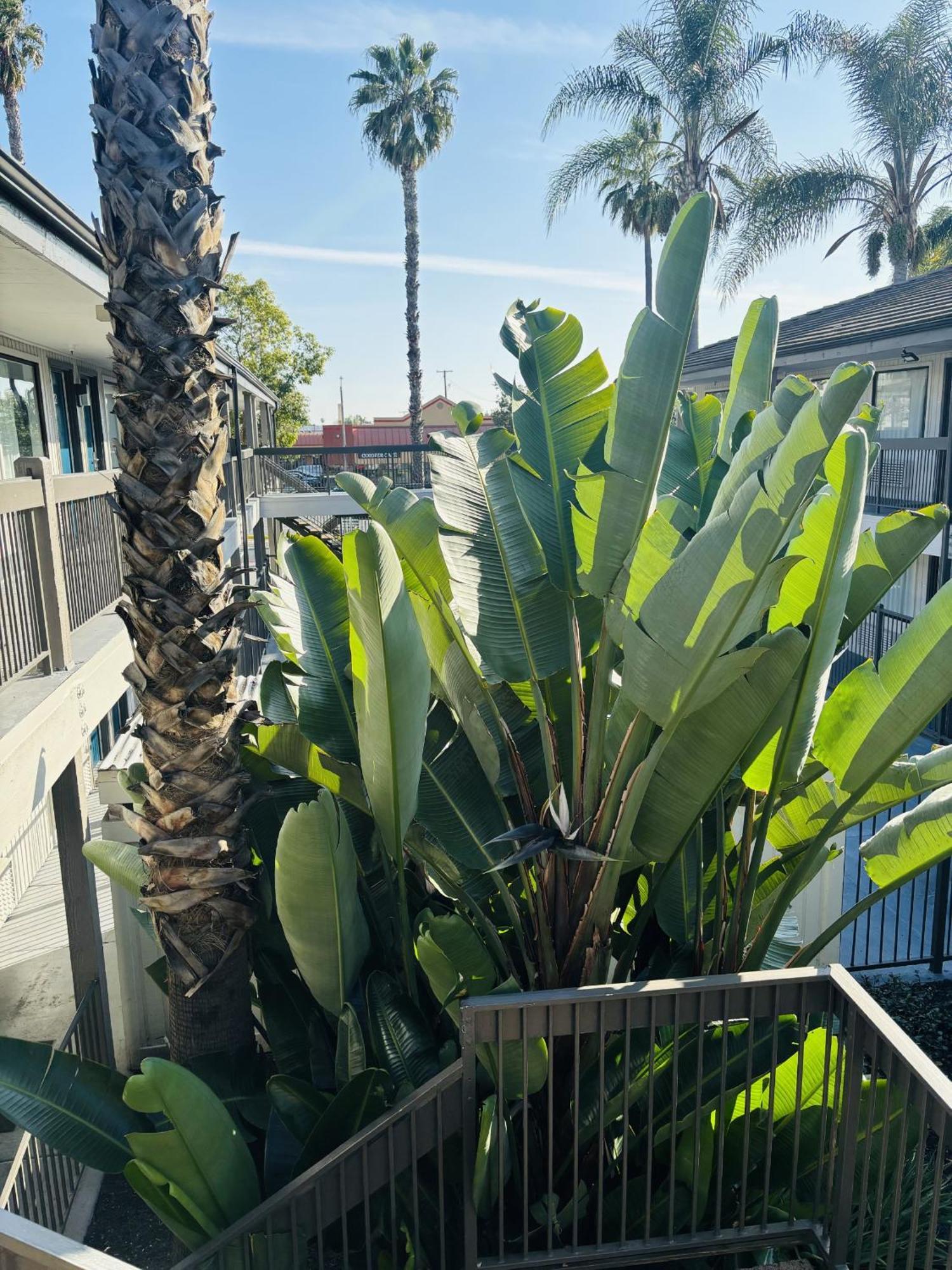 Motel 6-Santa Ana, Ca 외부 사진